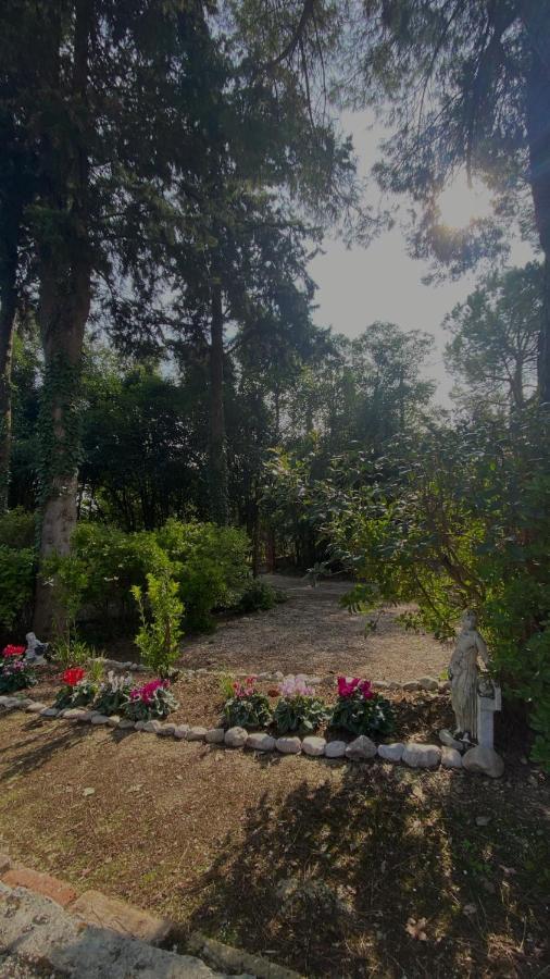 Casal Camillo Hotel Case Selva Grande Luaran gambar
